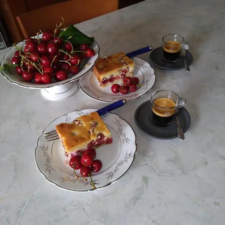 Aloysia איגלסיאס