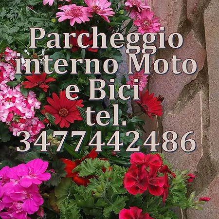 Aloysia Bed & Breakfast Iglesias